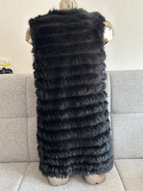 Vesta, happy rabbit,s