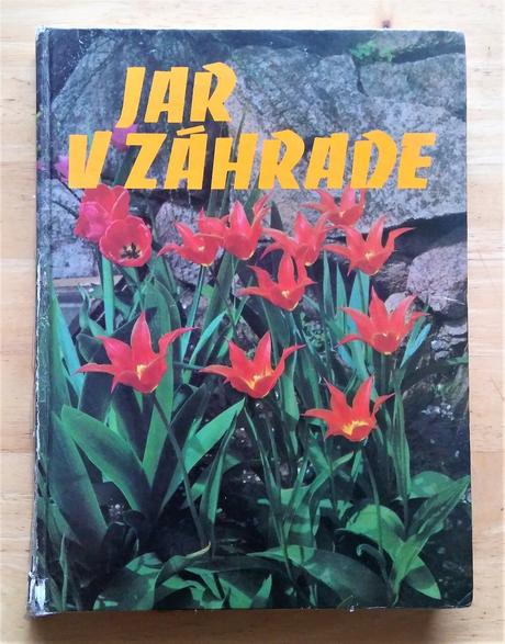 Jar v záhrade, príroda,