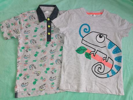 Tričká chameleón, 104