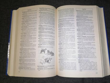Kniha moderný anglicko - slovenský slovník s ilus., 