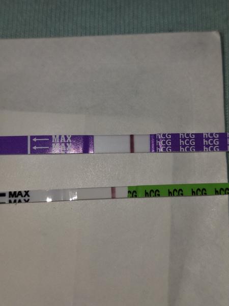 Môže menštruácia ovplyvniť výsledok tehotenského testu?