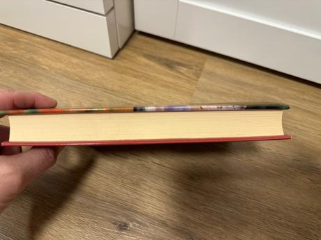 Pokánie - top stav - ian mcewan, 