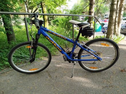 Bicykel "24, author,24