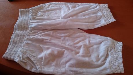 Palomino, palomino,104