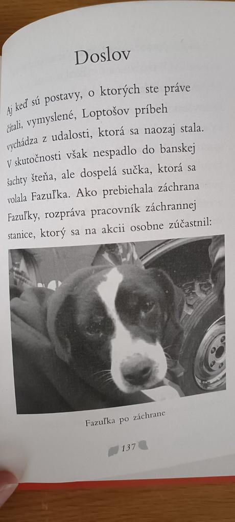 Kniha - hľadá sa šteniatko, 
