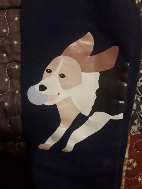 Leginy s havkom, tcm,122