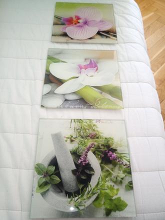 Sklenenéorchidea obrazy,