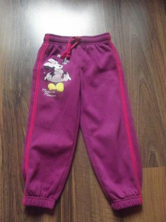 Teplacky s minie, disney,98