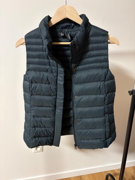 Vesta mango, mango,m