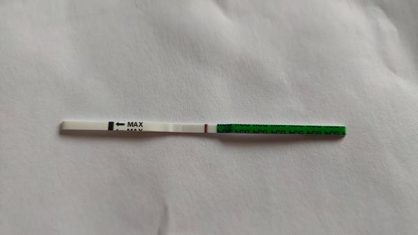 Môže pokles bazálnej teploty signalizovať uhniezdenie?