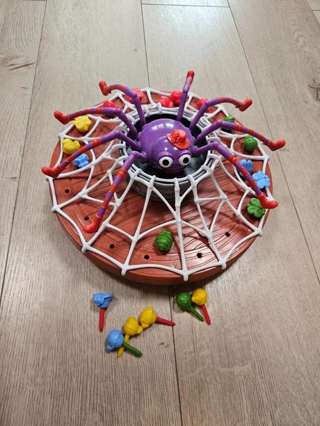 Spoločenská hra pani pavukova, 