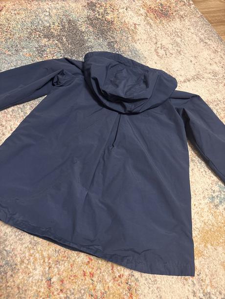 Kabatik mango, mango,164