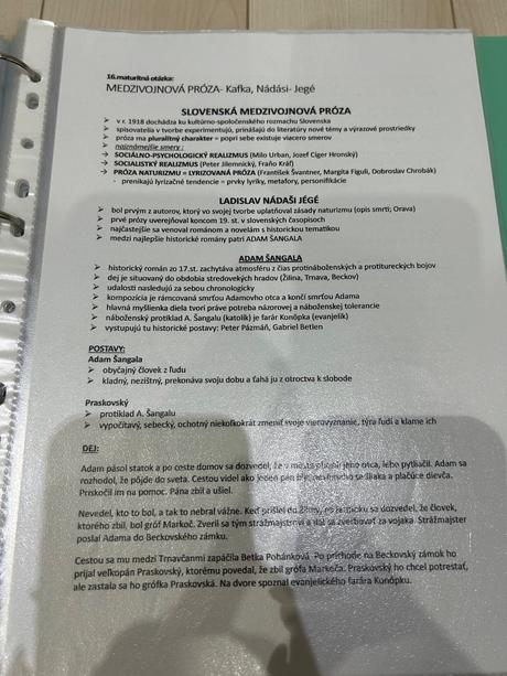 Maturita zo sjl- literatúra, 