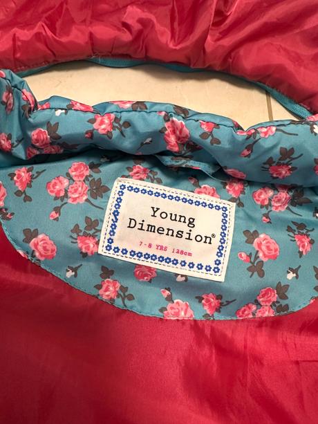 Vesta, young dimension,128