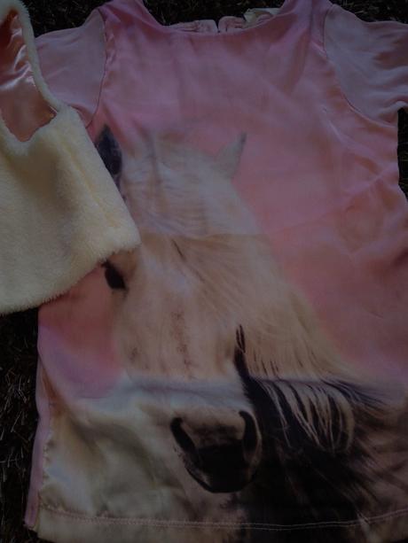 Vestička, palomino,92