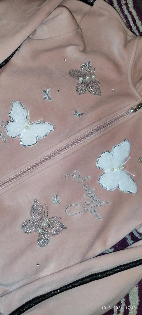 Mikinka s motýľom, 152