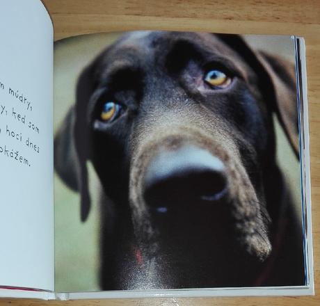 Keby psy rozprávali , joel zadak, 