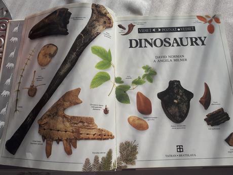 Kniha dinosaury,