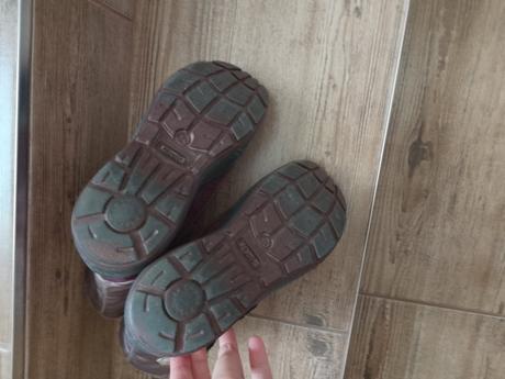 Snehule primigi, primigi,34