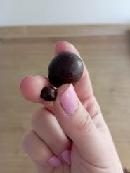 DmBio Maliny v horkej čokoláde, 50 g