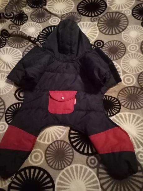 Oblecenie pre maleho psa,