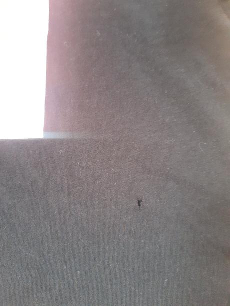 Crop top tričko vans, 158