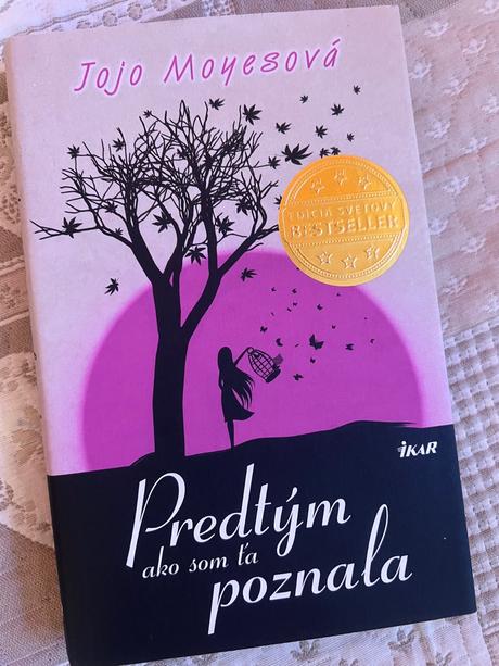 Kniha predtým ako som ťa spoznala, 