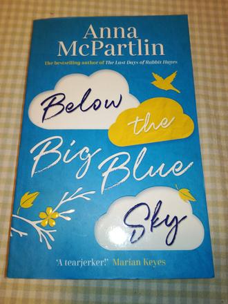 Anna mcpartlin v anglictine xs24, 