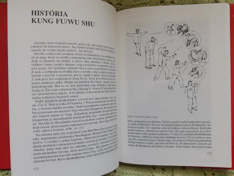 Natural wung chun kung fu,