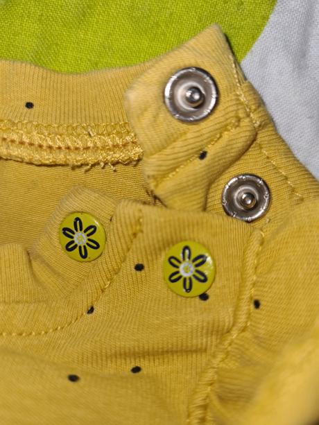 Body, coccodrillo,68