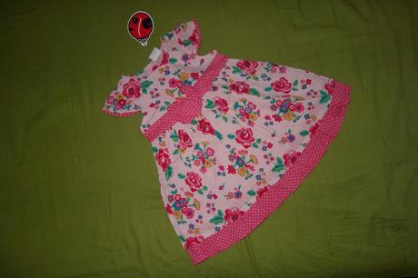 Nove letne satocky ladybird, ladybird,74