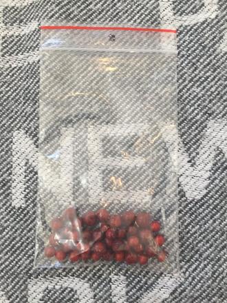 Špargľa lekárska  - asparagus  semena 40ks, 