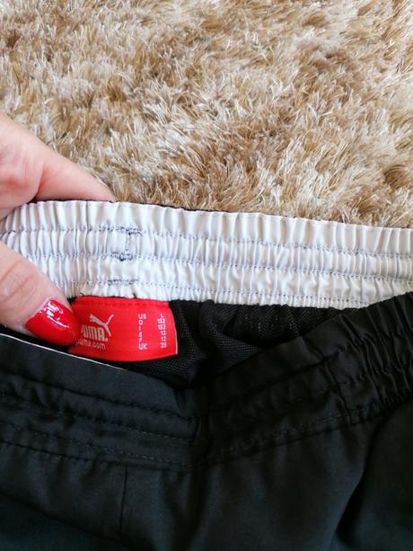 Puma trištvrtáky, puma,152