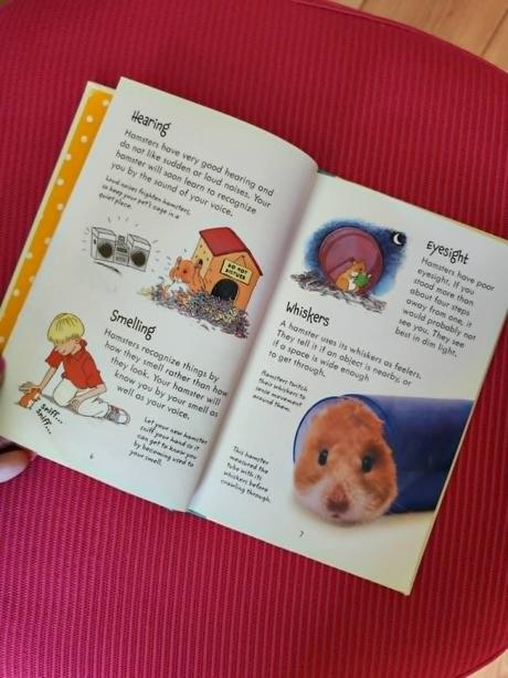 Anglická knižka hamsters,