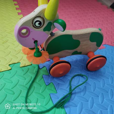 Drevená kravička na ťahanie,