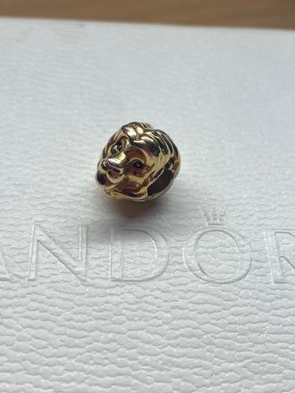 Pandora lev, pandora