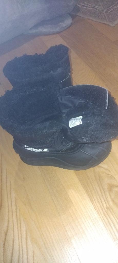 Snehule sorel, sorel,29