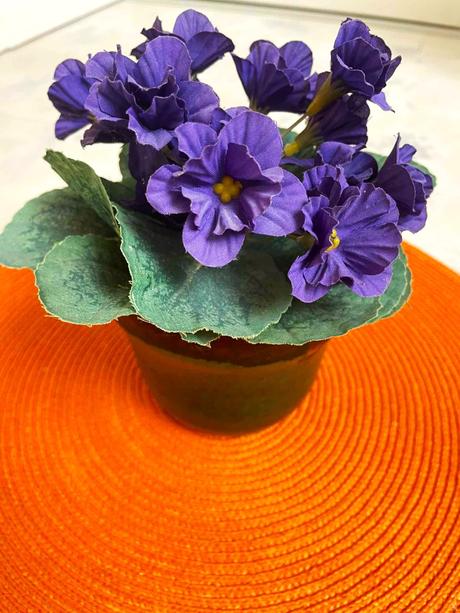 Fialky v keram.črepe 2 ks,