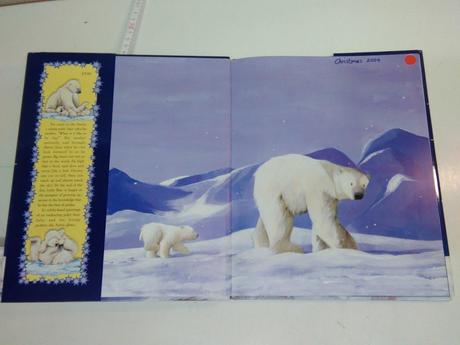 Big bear, little bear hb,