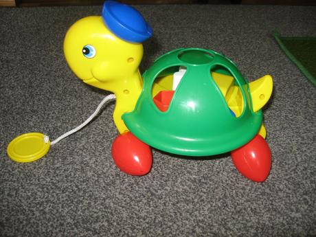 Korytnačka vkladačka, 