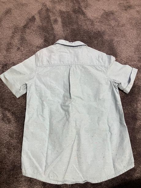 Kosela, palomino,128