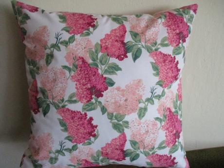 Obliečka hortenzia, 