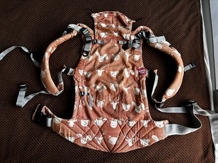 Sestrice nosic carrier one, sestrice