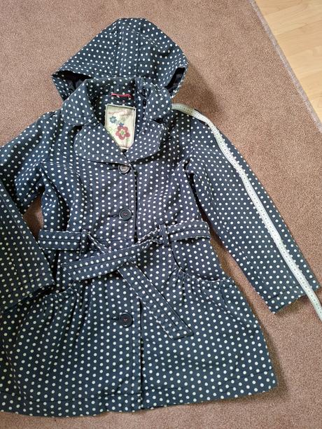 Krásny bodkovaný bajloňáčik, next,140