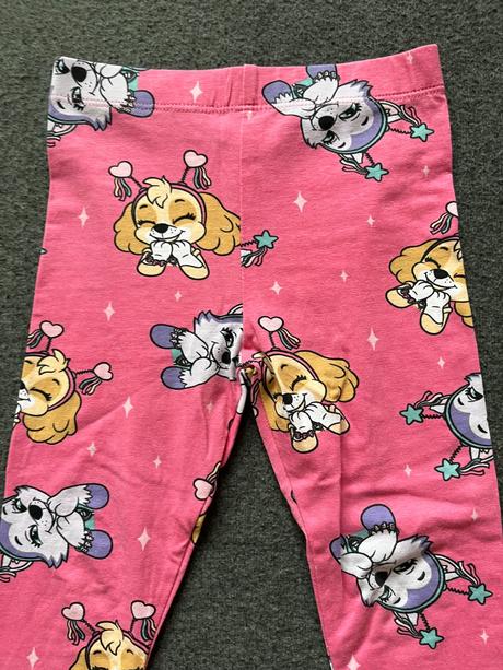 Leginy labková patrola, nickelodeon,104