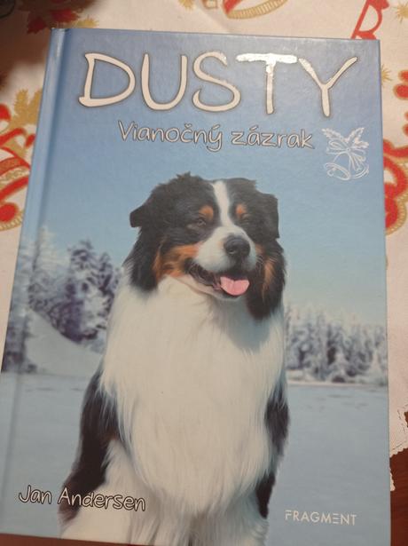 Kniha dusty - vianočný zázrak, 