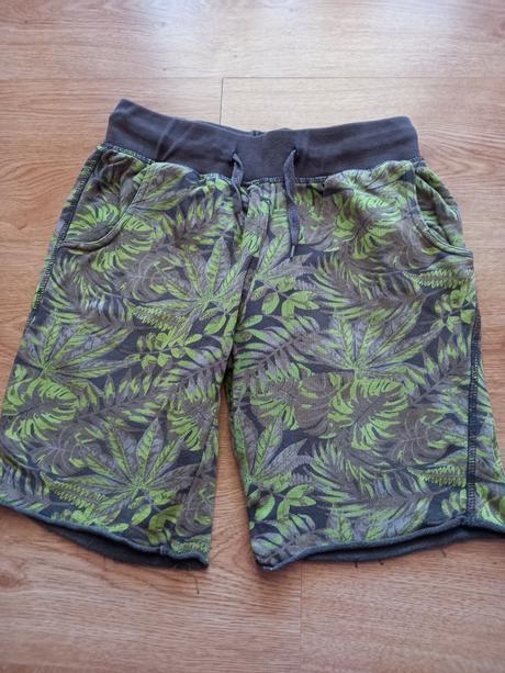 Kratasy 146/152, chapter young,146