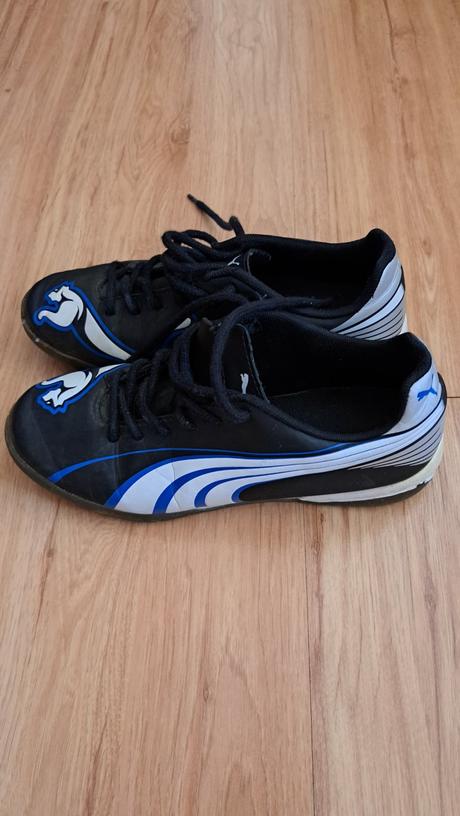 Halovky puma, puma,35