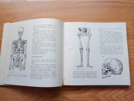 Abeceda života - bohumír fiala,