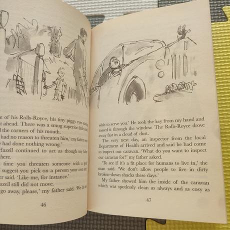 Ronald dahl danny the champion of the world,